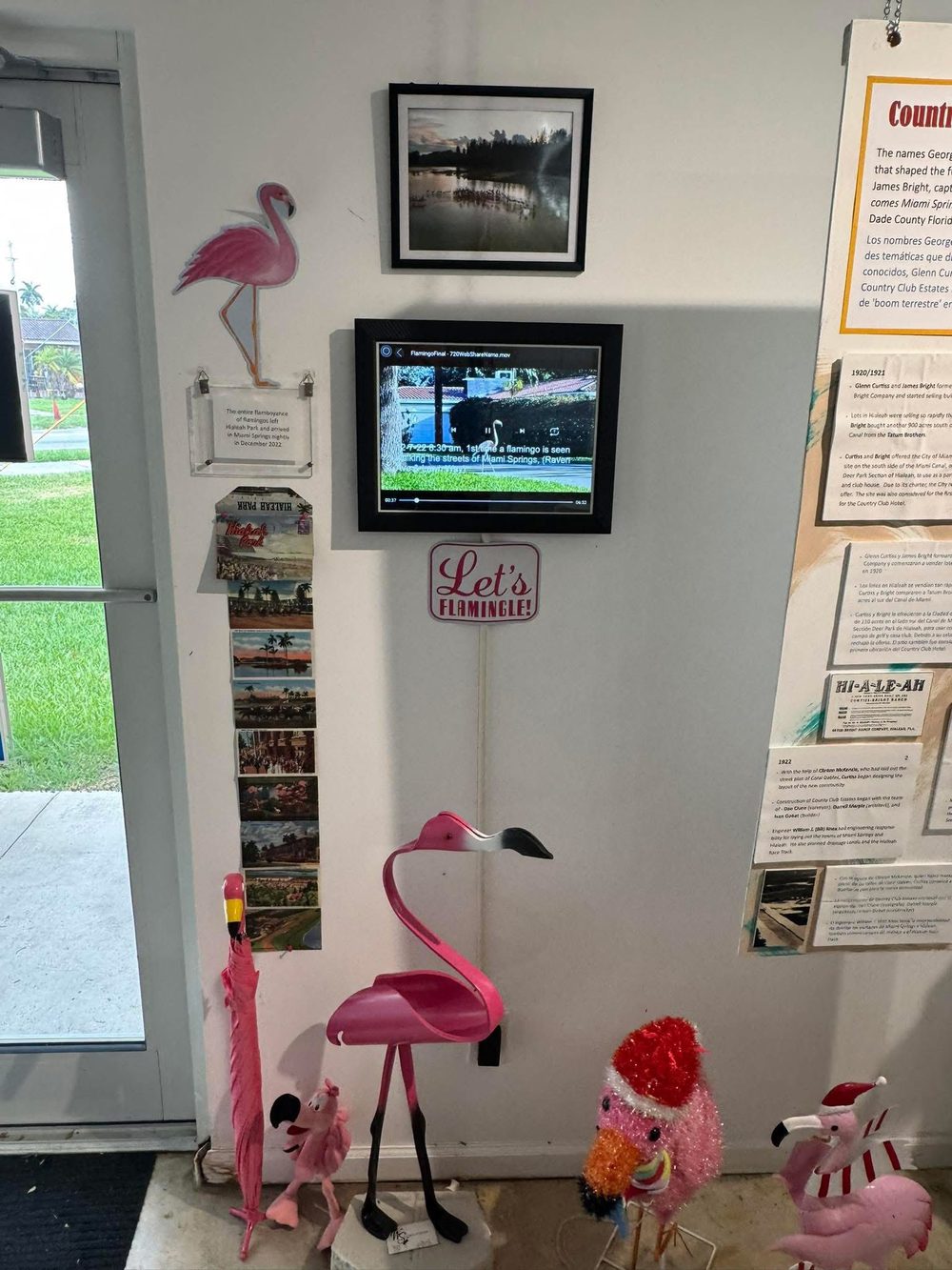 Flamingo flamboyance exhibit